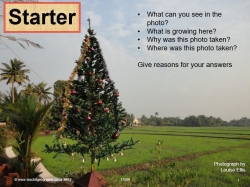 Christmas in Kerala