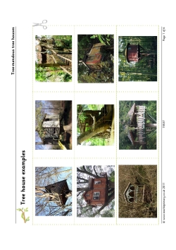 Tree-mendous treehouses